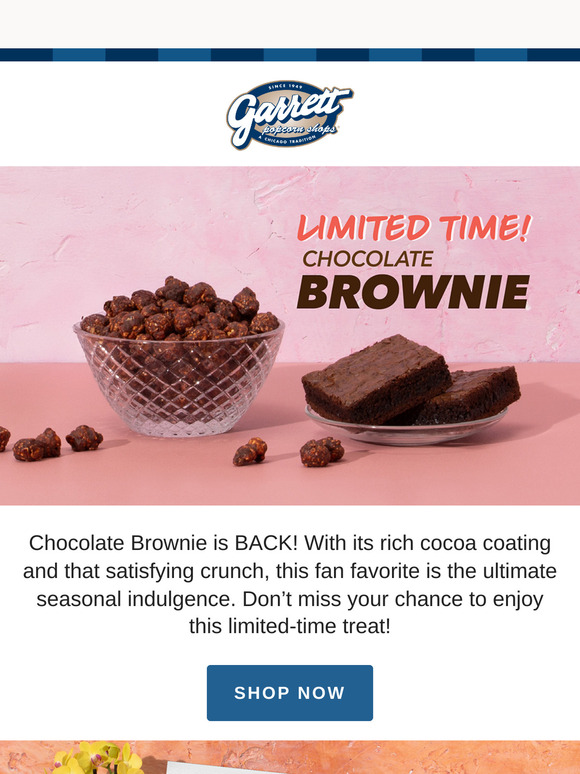 Chocolate Brownie is BACK!