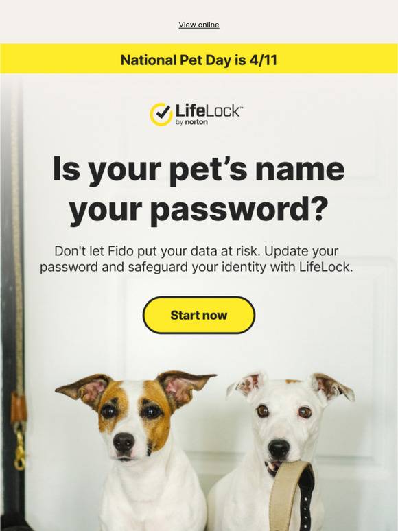 🐶 If your dog’s name is your password, we need to talk.