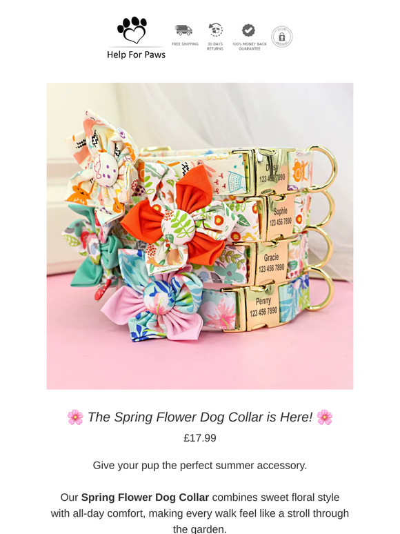 Spring Bloom Vibes 🌸 Free Engraving on NEW Floral Dog Collar