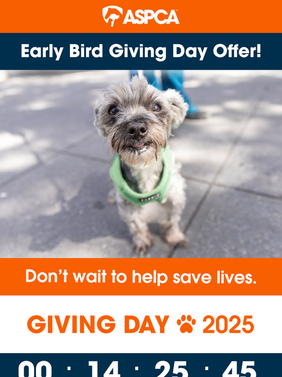 Just 24 Hours Until Giving Day [Early Gift Opportunity]