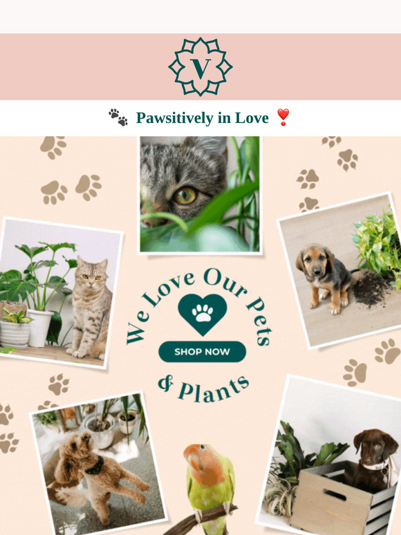 🌿 Pet-Safe Paradise!