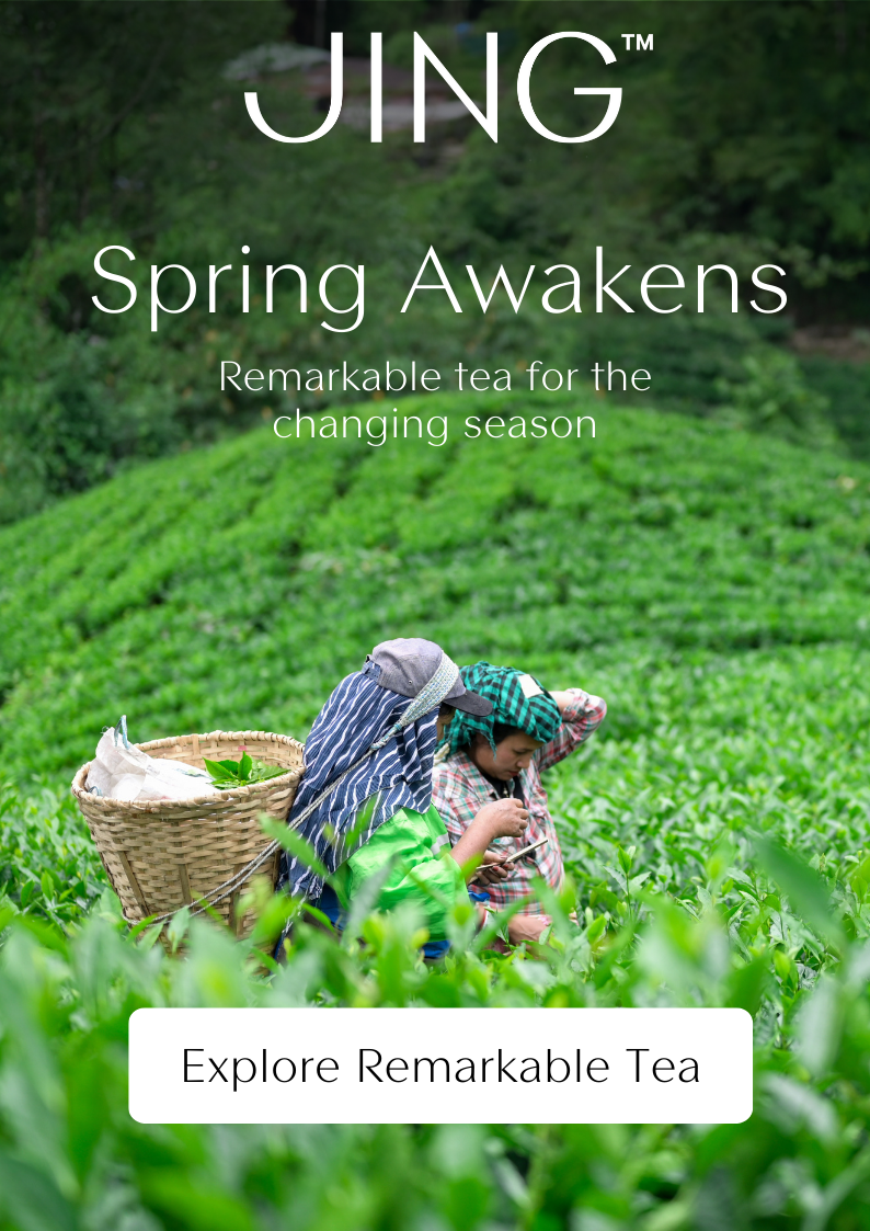 EXPLORE REMARKABLE TEA