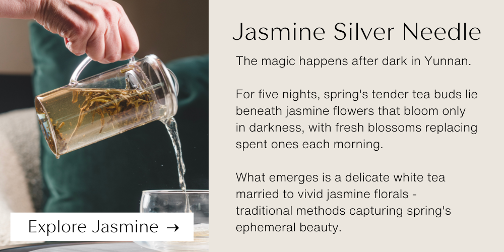 JASMINE SILVER NEEDLE