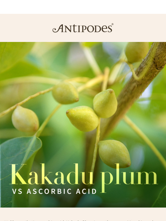 Why Kakadu Plum is Better Than Ascorbic Acid