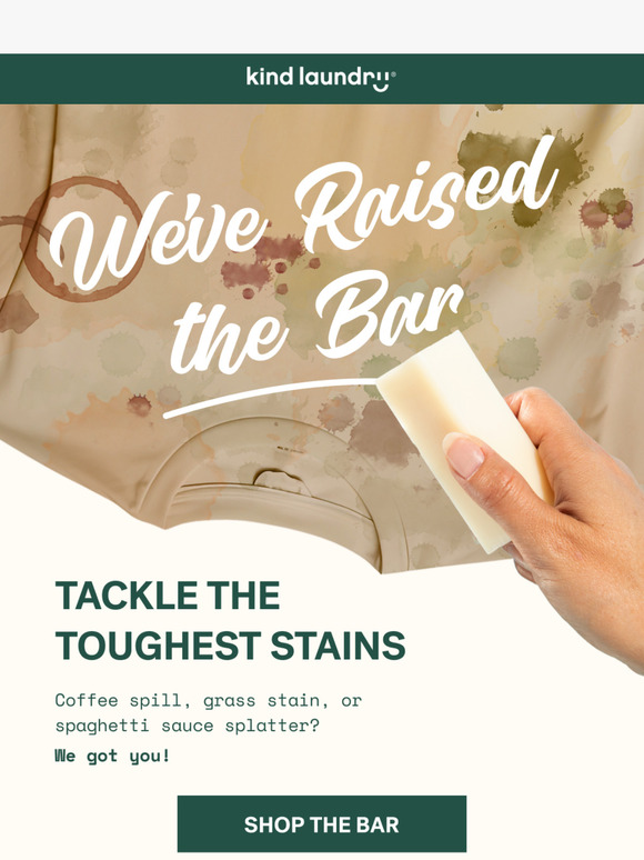 💪 Your Go-To Stain Fighter