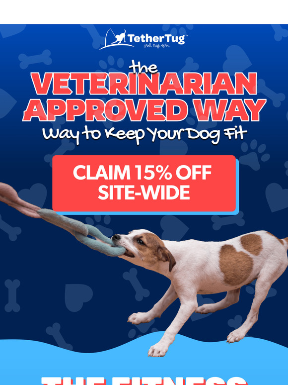 3 Ways to Keep Your Dog Fit