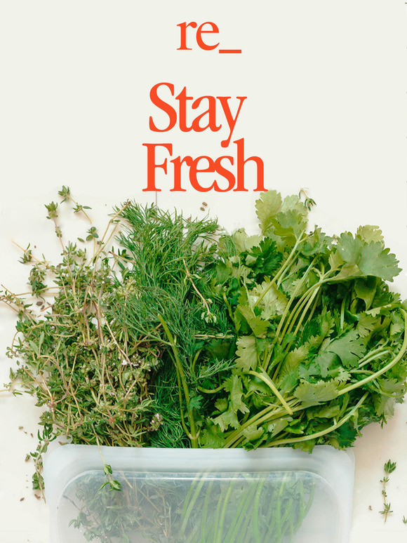 Everyday reusables we’re obsessed with