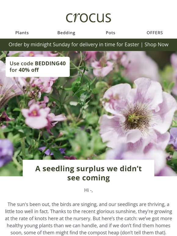 Our seedlings need you 🌱