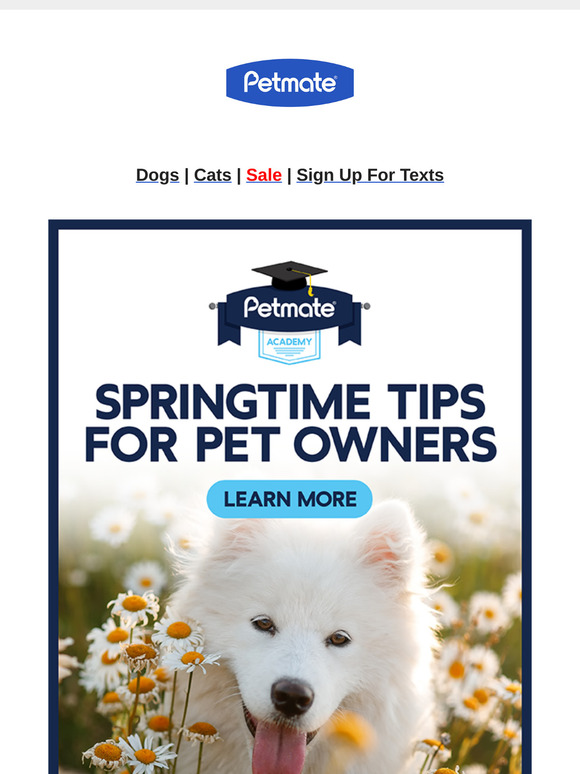 Springtime Tips for Pet Owners – Get Ready for the Season!