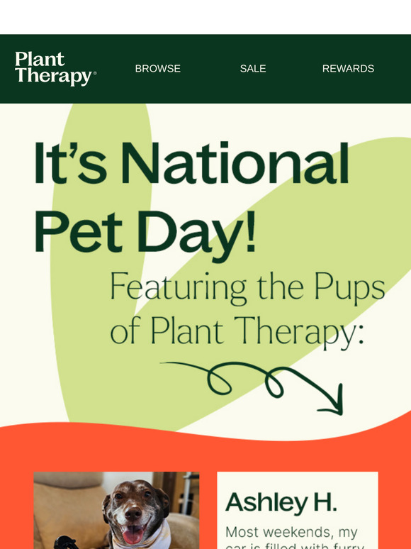 Meet the Pups of Plant Therapy! 🐶