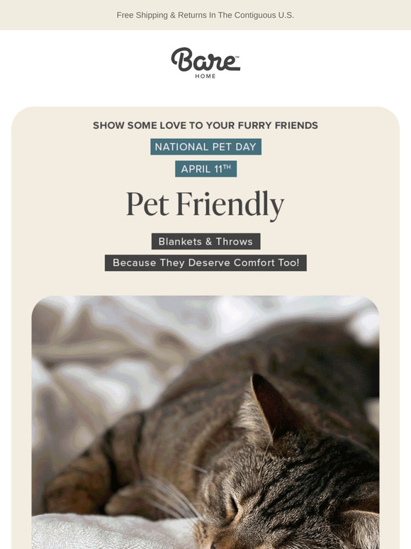 National Pet Day - Comfort for your furry friend! 🐾