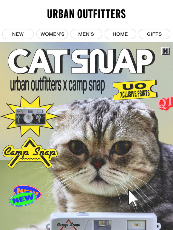 take a cat snap 🐱📷
