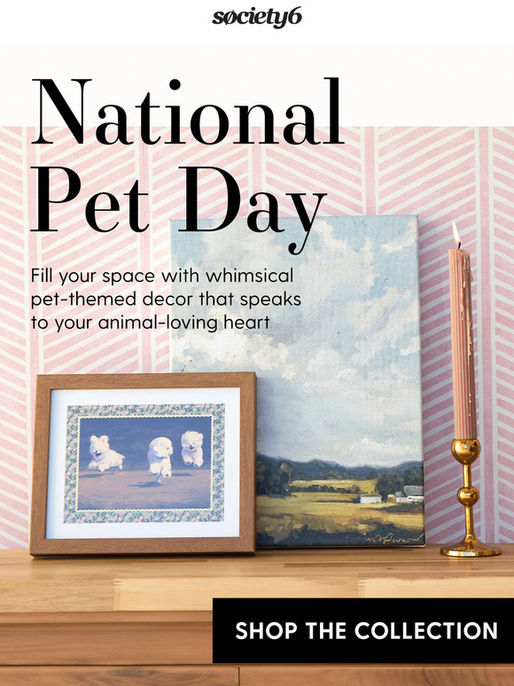 Pet Lovers: This Collection Was Made For You