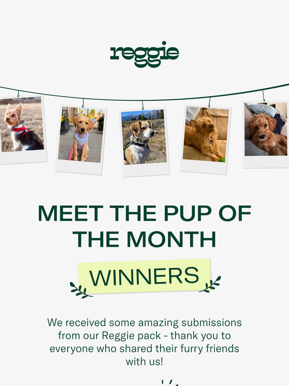 Meet The Pups Of The Month
