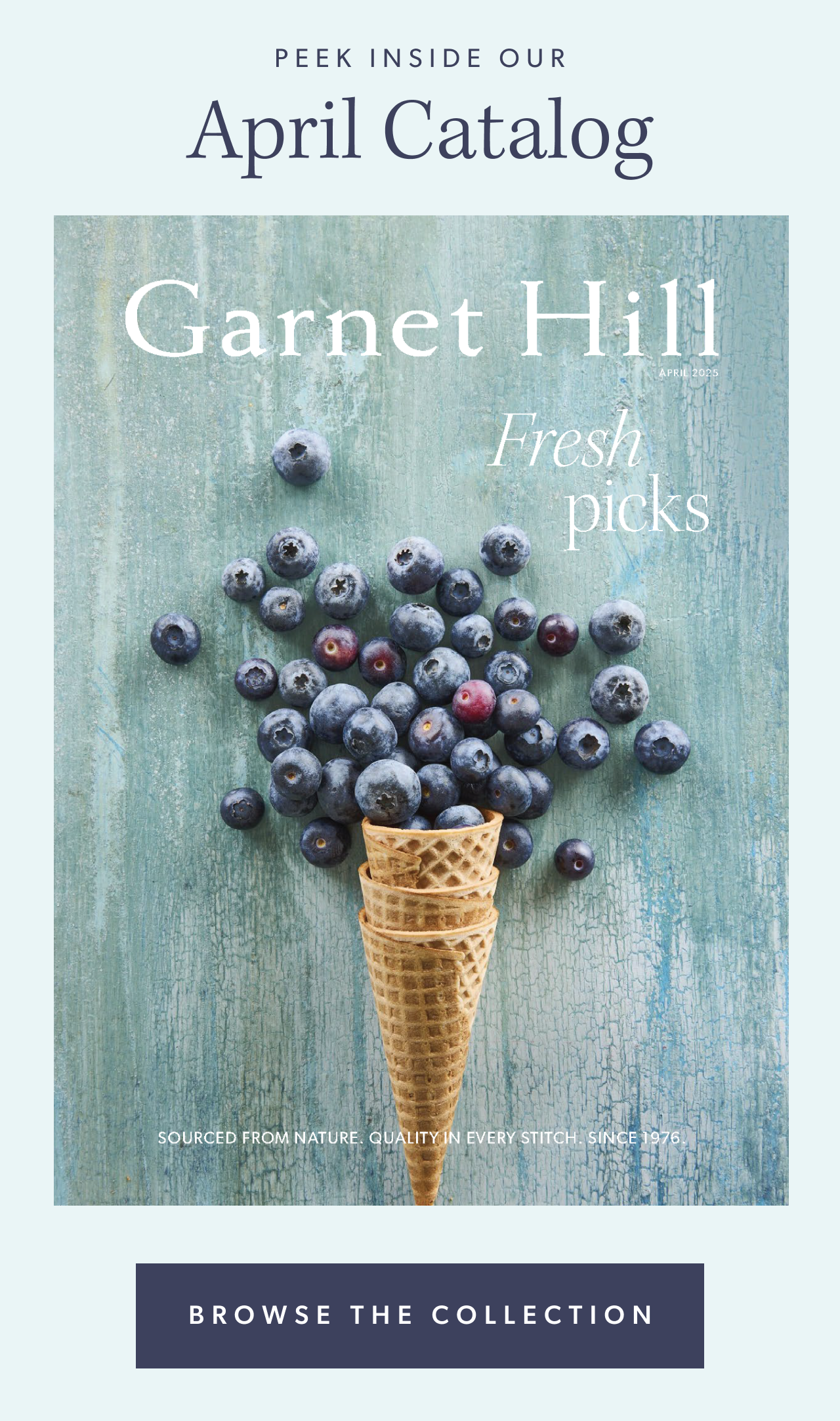 Peek inside our February Catalog. Shop Now.