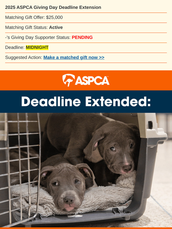 NEW: Final Match Offer for Giving Day