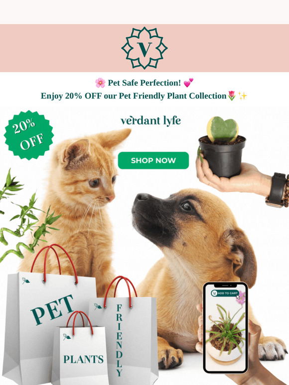 🐾 Paws & Plants: Pet-Safe Greens You’ll Adore 🌿