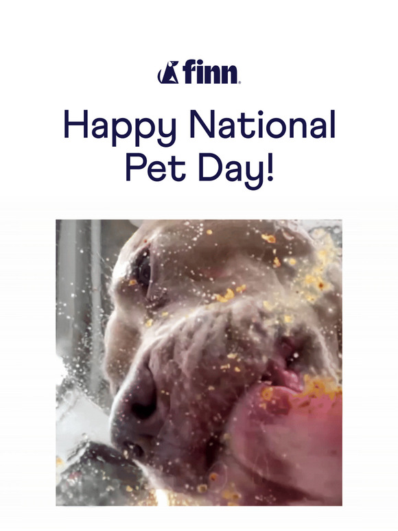 20% OFF 💥 Healthier Dog = Happier You
