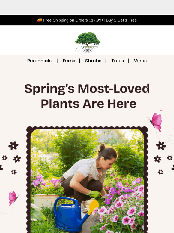 Best Sellers of Spring – Find Out Why