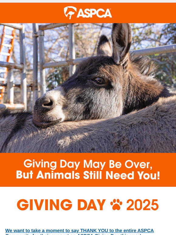 [Gift Still Pending] Your Giving Day Gift Status