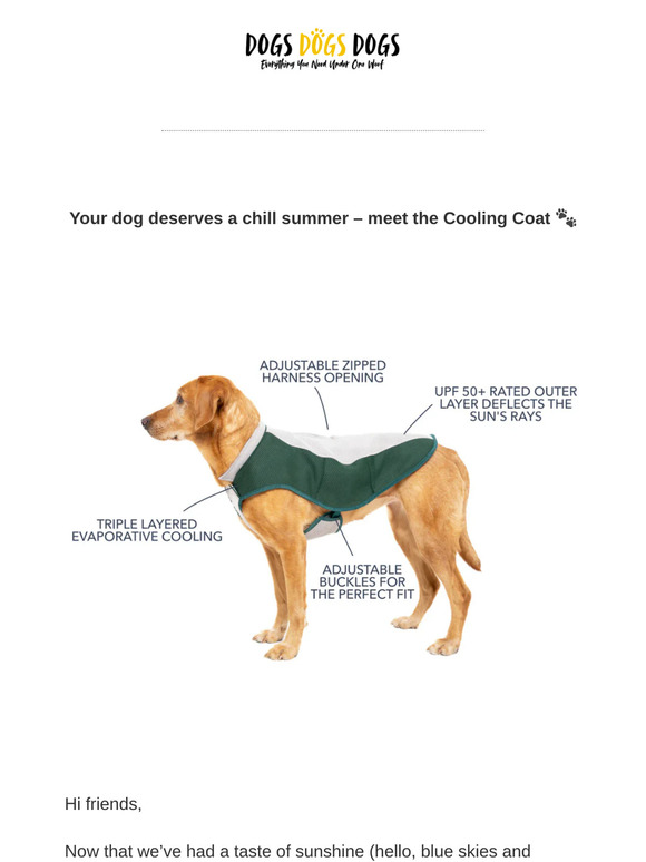 ☀️ Ready for summer strolls? Cool off in style!
