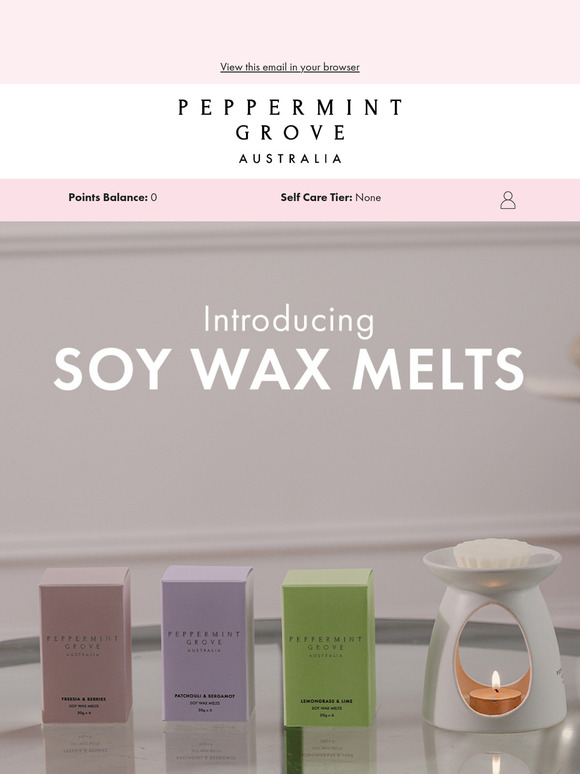 Introducing Soy Wax Melts ✨