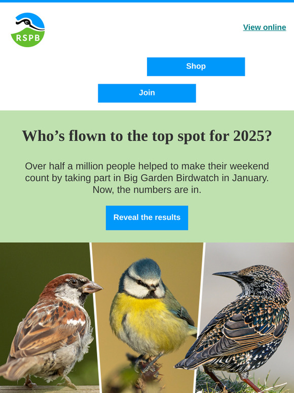 Ready for the Big Garden Birdwatch results?