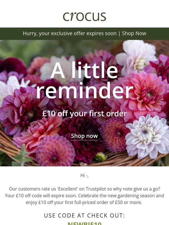 Trustpilot excellent | try us today 🌟