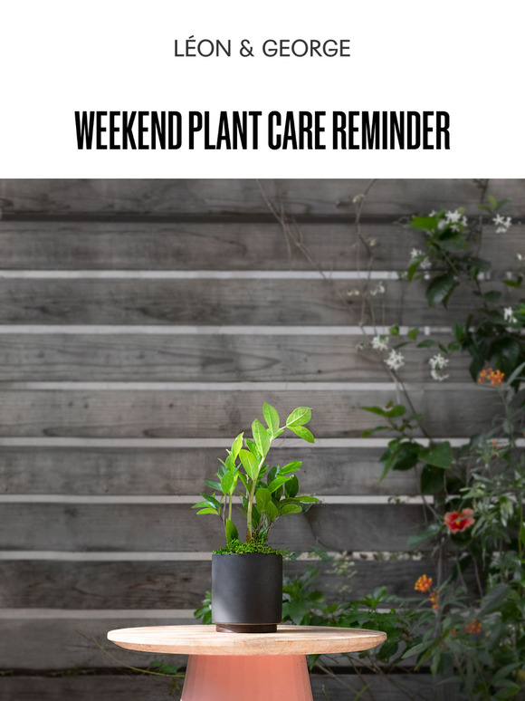 Weekend Plant Care Reminder