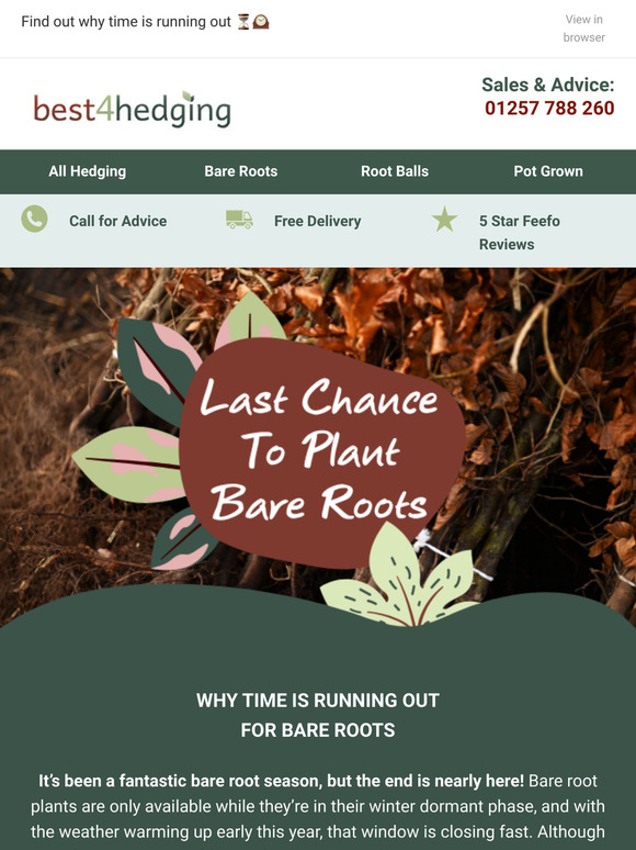 🕙 Last Chance to Plant Bare Roots⚡🌱