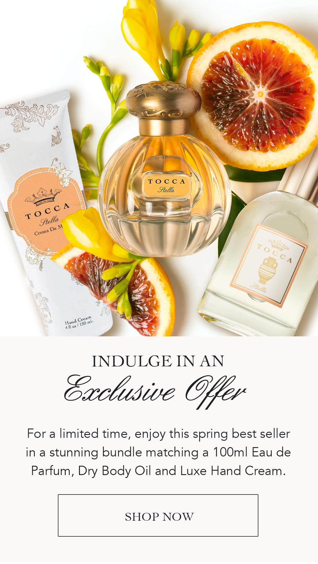 Experience TOCCA's spring best-selling scent with this deluxe bundle