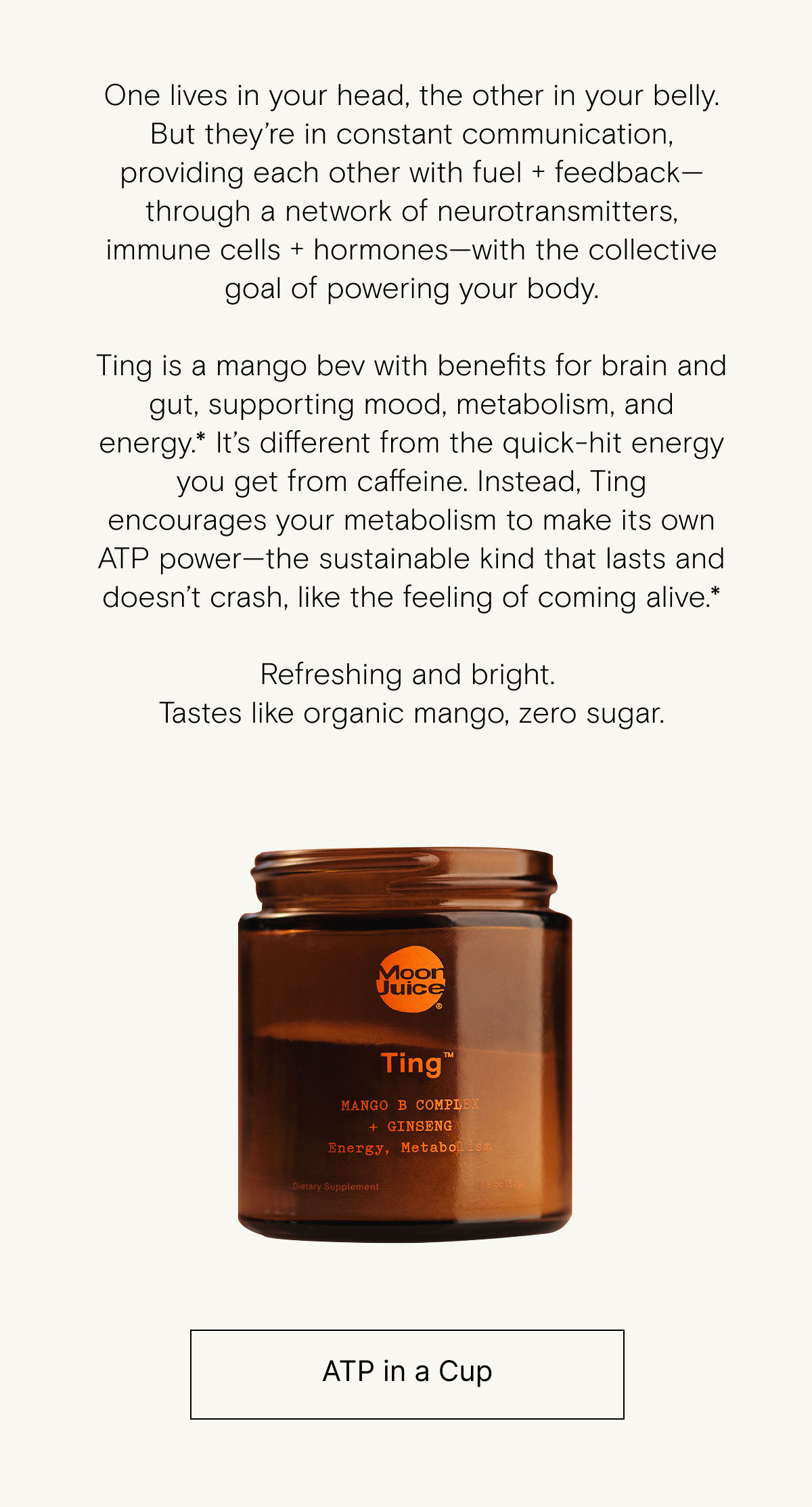 Ting is a mango bev with benefits for brain and gut, supporting mood, metabolism, and energy.