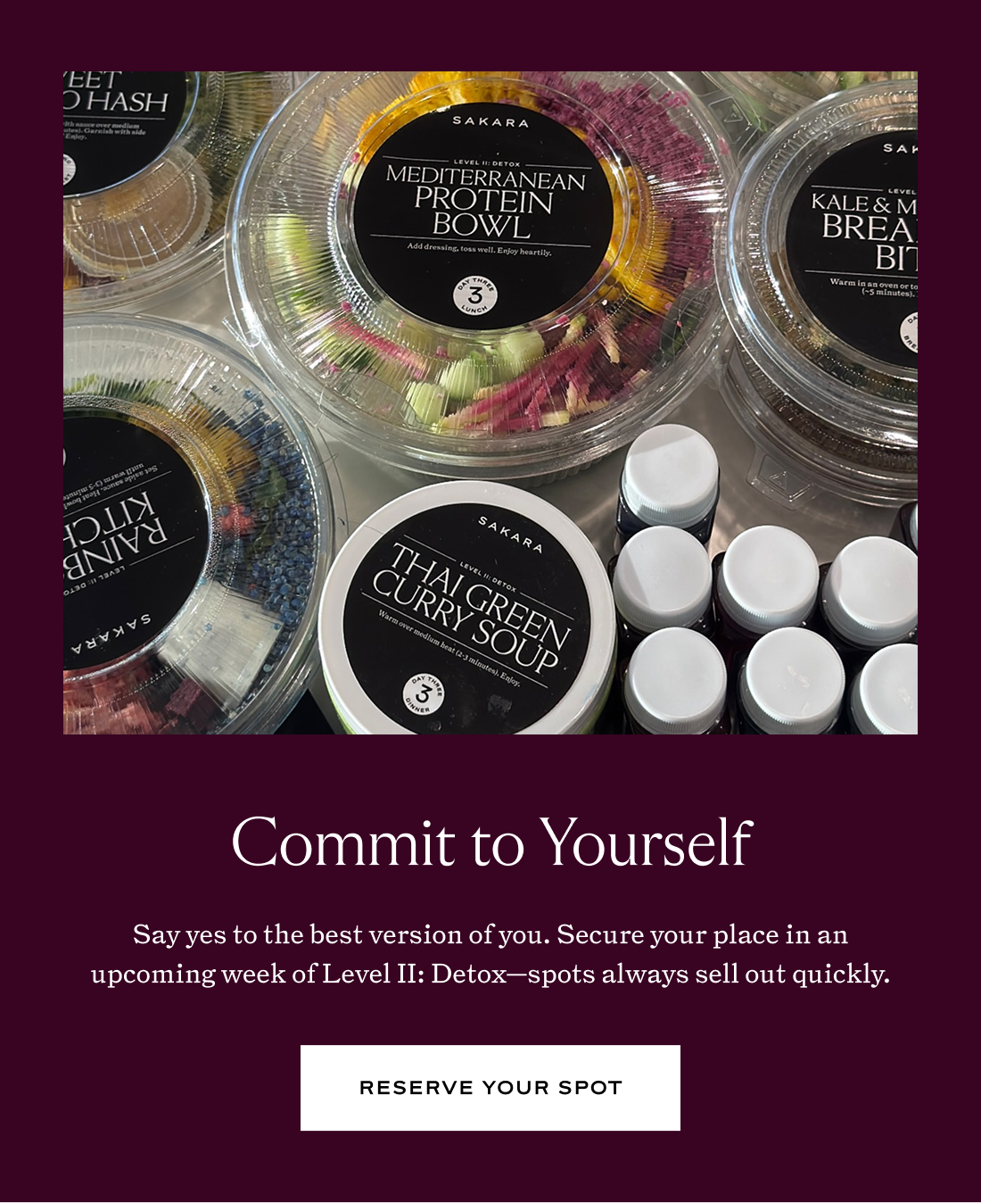 Level II: Detox
