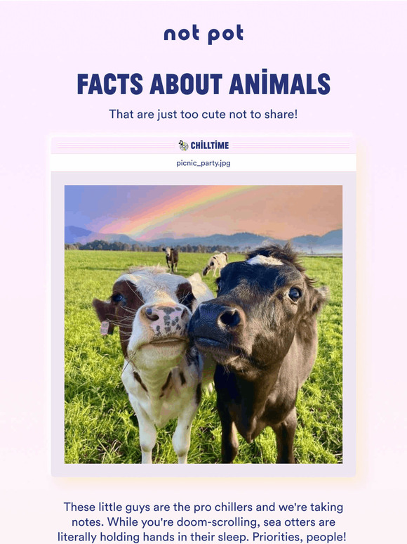 facts abt these cuties!