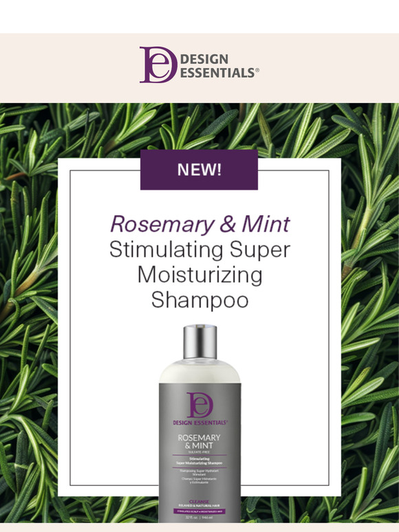 Hydrate + Strengthen with Rosemary & Mint 🌿