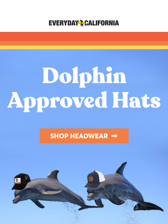 Dolphins in hats? Yep, it’s a thing now.