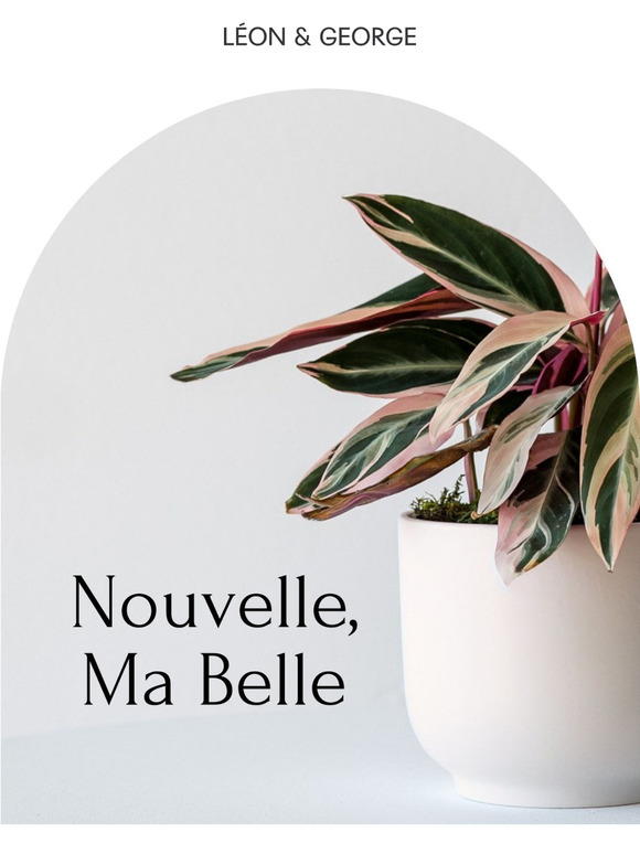 Nouvelle, Je T'aime 😍