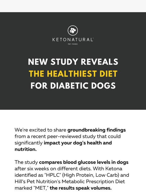 New Study for Diabetic Dogs