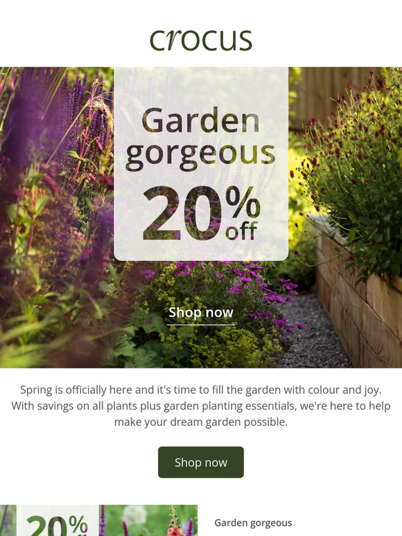 Garden gorgeous 20% off all plants NOW ON ✨