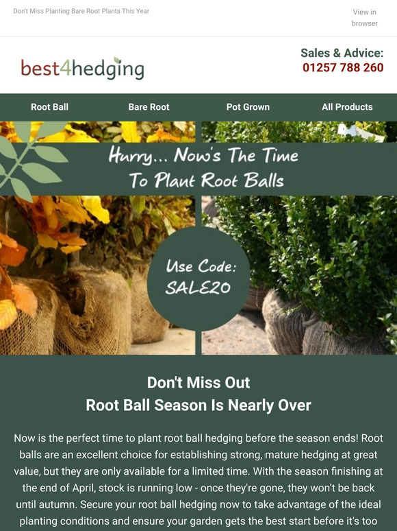 🚨 Last Chance! 20% Off Root Balls - Limited Stock Available