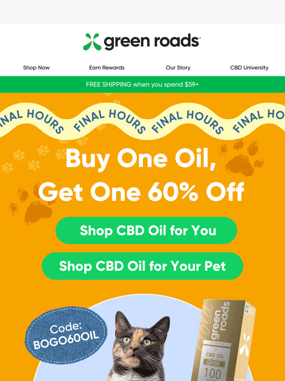 Final Hours! BOGO 60% Off Oils!