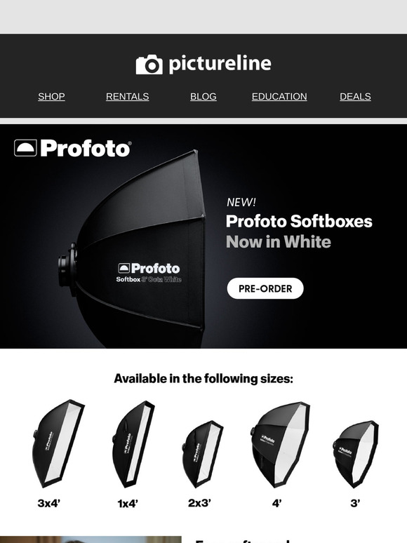 🎉 NEW @ Pictureline This Week! >>