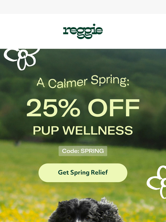 Spring Sale: 25% Off 🐶🌼