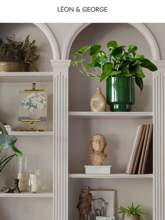 What's so great about the Cascading Pothos?