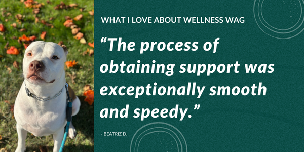 Beatriz Testimonial