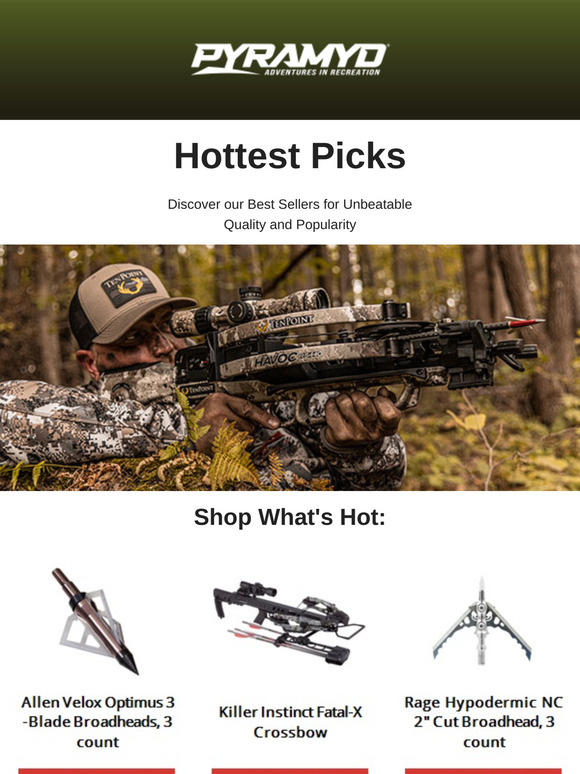 Aim for the Best: See What's Trending in Archery Now!