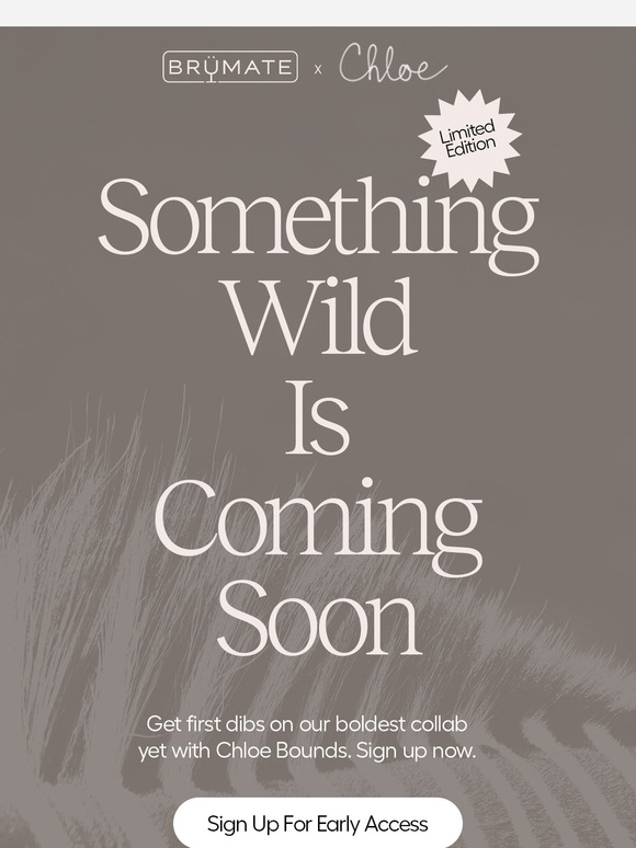Coming Soon: A New Collab With Chloe Bounds