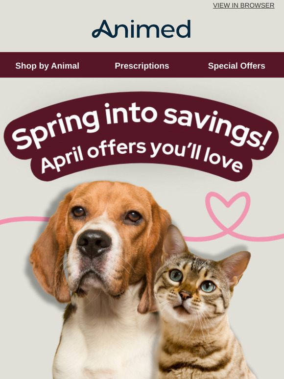 April Offers: Save up to 30%*🎉