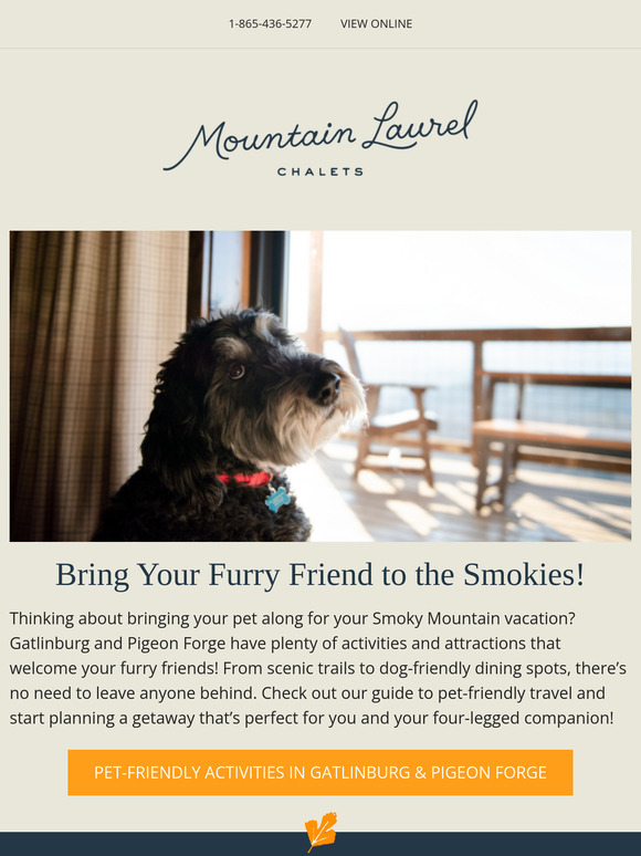 Pet-Friendly Adventures Await in Gatlinburg & Pigeon Forge