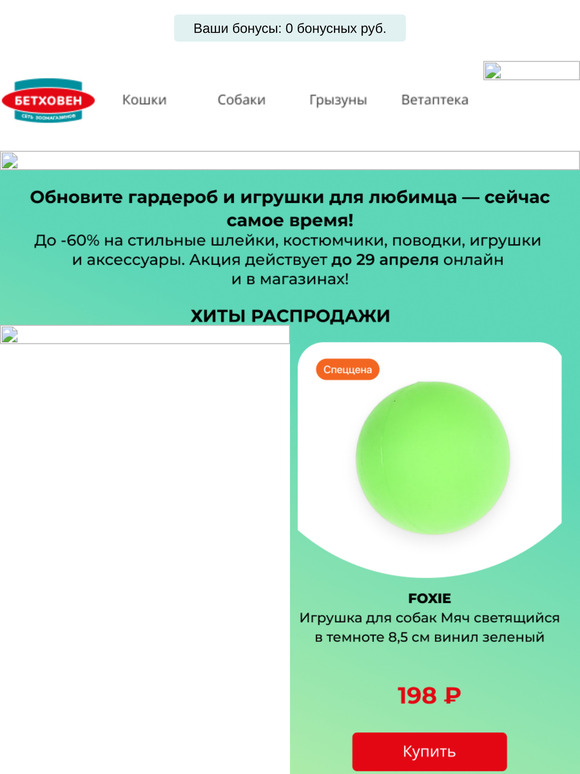 🔥 Скидки до -60% на игрушки, одежду и аксессуары для ваших питомцев.